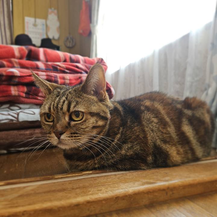 Bde90b5d ff7e 45fc 8b23 36922e3f929e 1774676367440