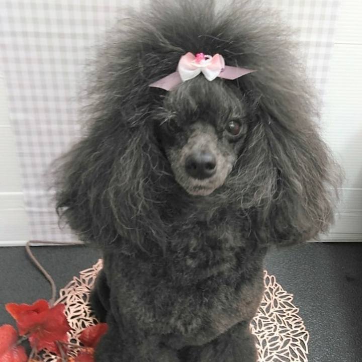 Bde9205d e08b 4520 b473 4cc3cc974073 1662953786748