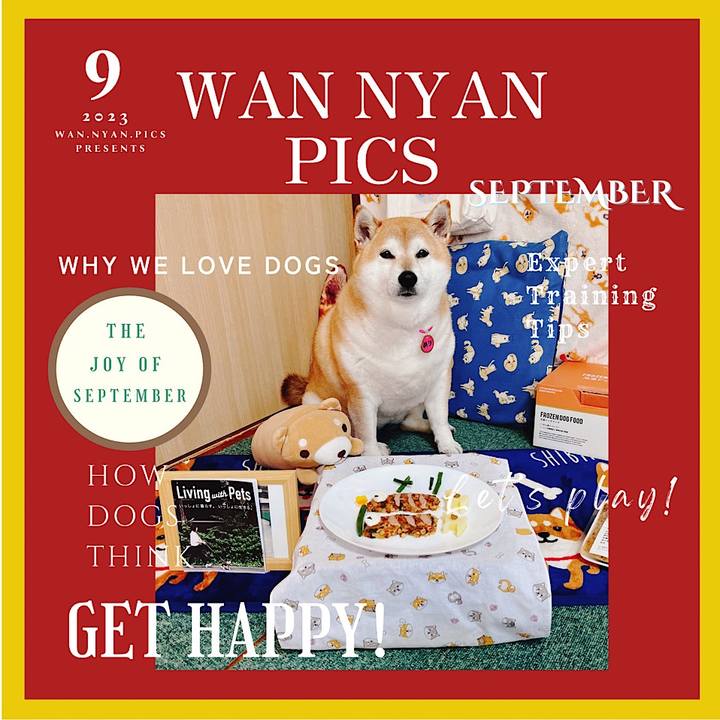 Bde9550b c51e 4f32 880f eb3e895f263a 1693830438295