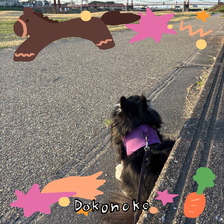 Bde97a23 11db 46dc aad5 c70bb8931632 1772353119945