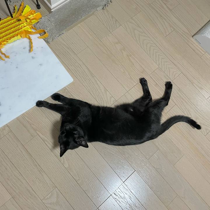 Bde9d454 c37a 49cc 8792 006f4cf10257 1690290580360