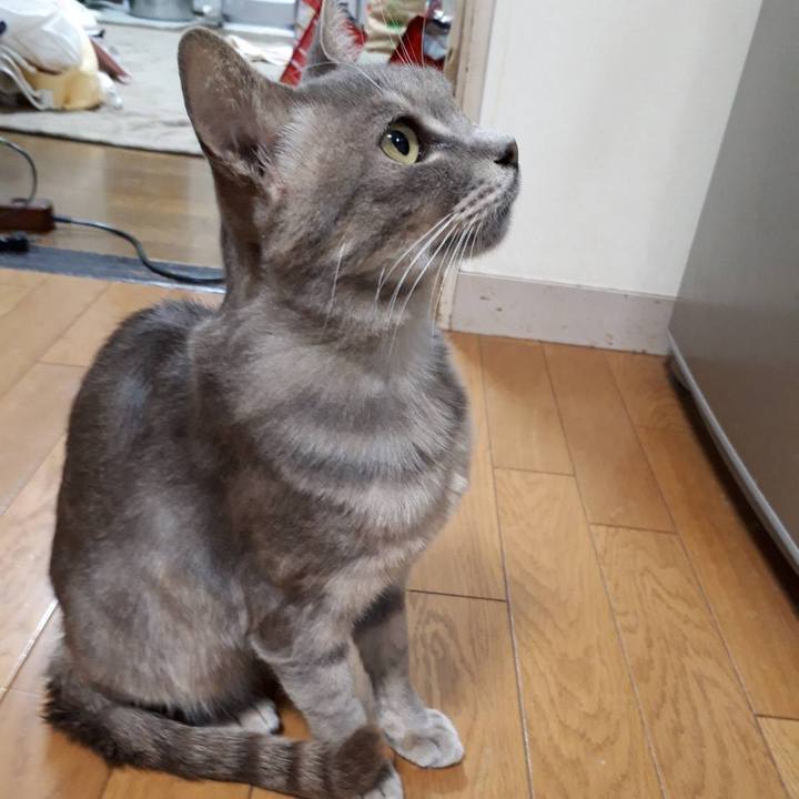 Bde9e307 5090 421f 8854 b5b3e3366a49 1528207082253