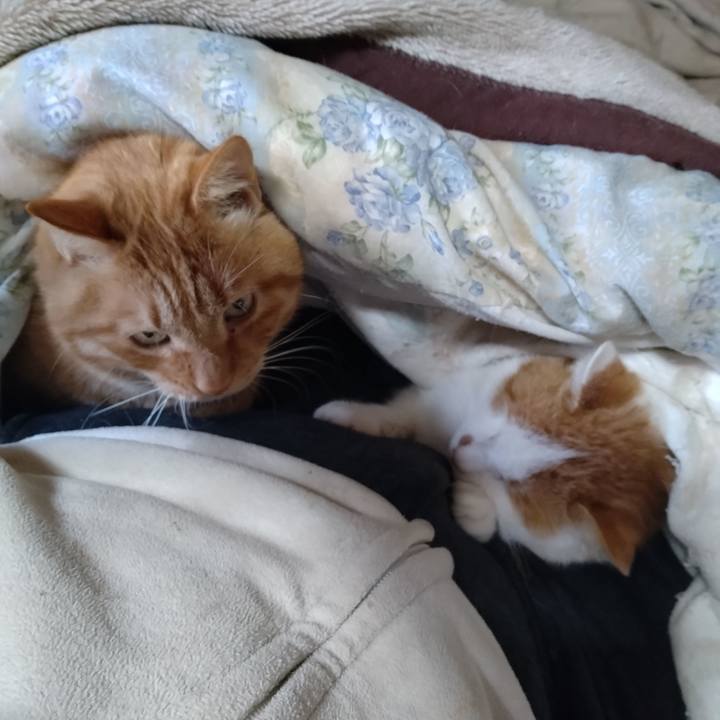 Bdea137e 0bb4 42b1 b80e 940ce0921688 1766474399204