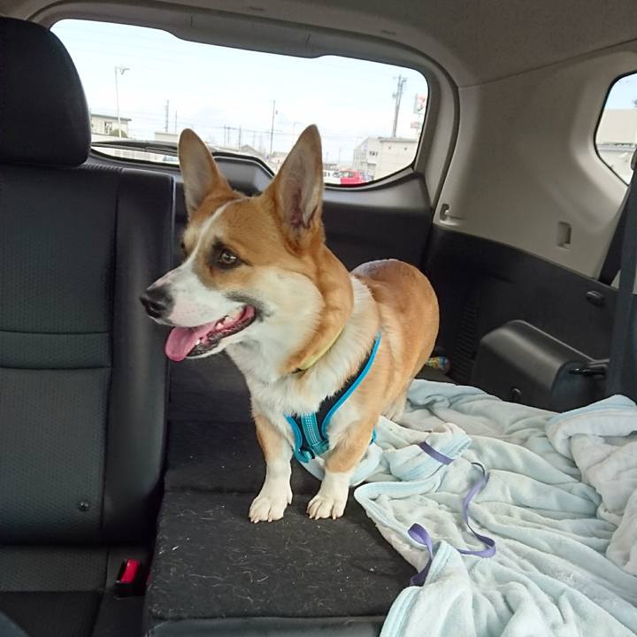 Bdea21eb ca90 48bb a291 3360acb6cb67 1583375543092