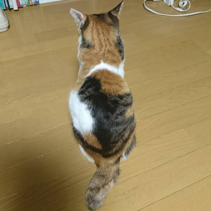 Bdea50db e96c 4b38 ad4a 3454126975e2 1557050951720