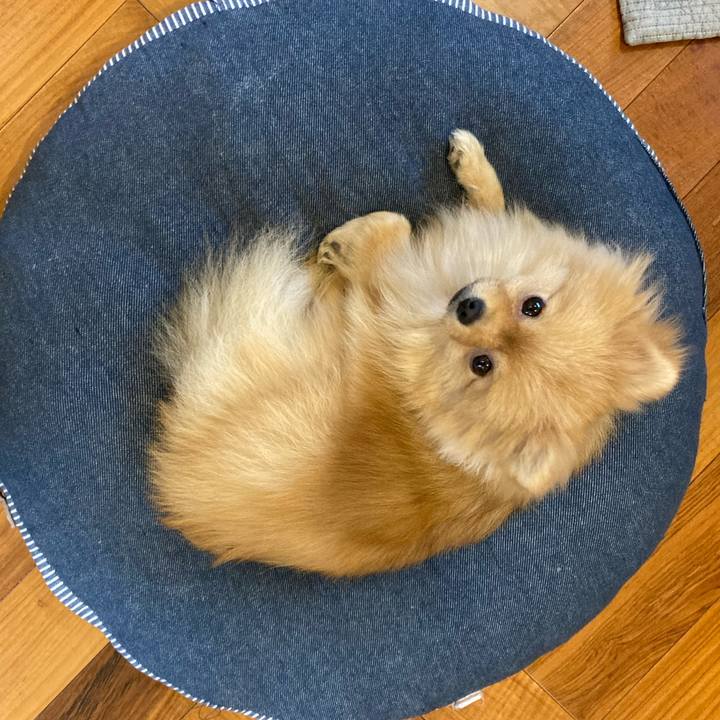 Bdea7898 6414 4fd6 a1d5 a284eb451591 1667533067870