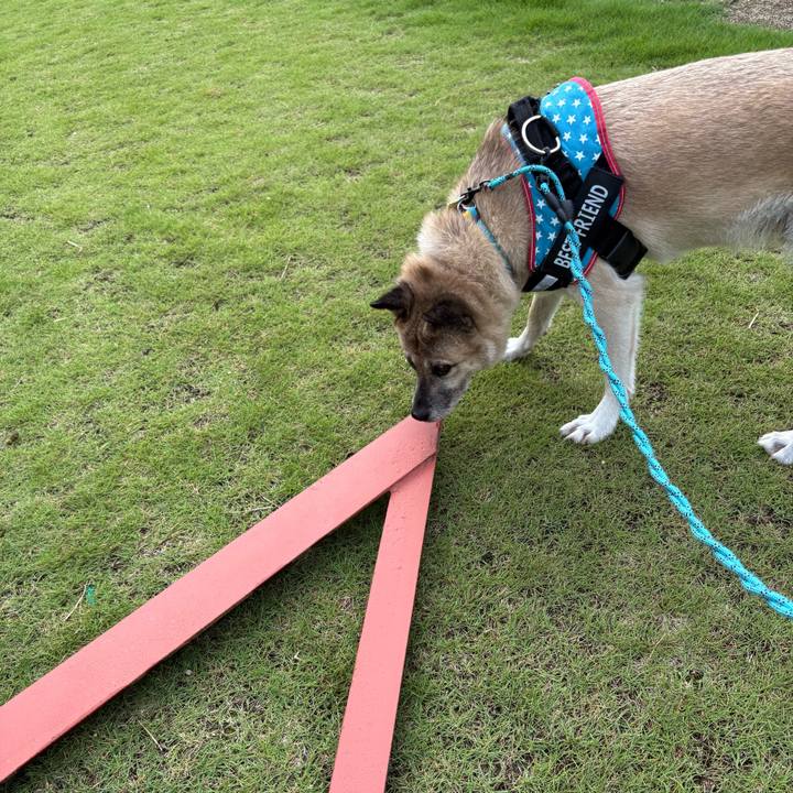 Bdea992d 58dd 481b 9a30 1106253b118f 1759564837586