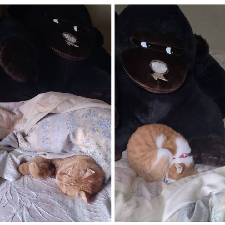 Bdeab485 16b0 438a 89c2 a83aa3e47d32 1761113898806