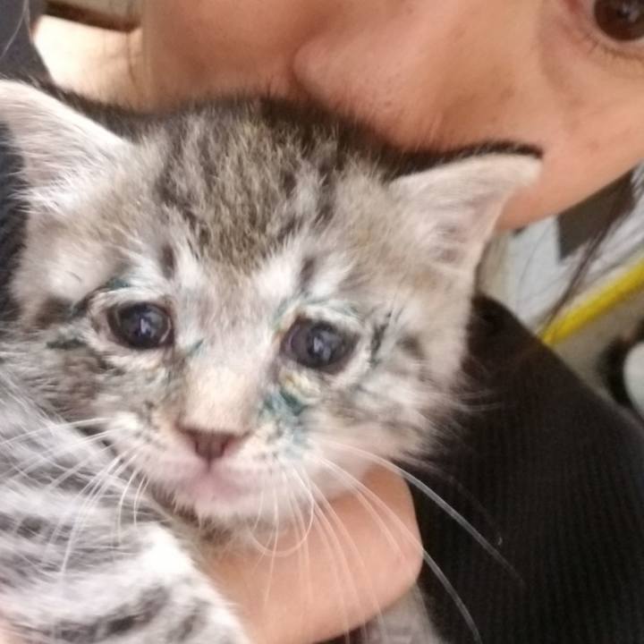 Bdeac264 fe39 4d39 b94c 0e85465eae40 1660574300285