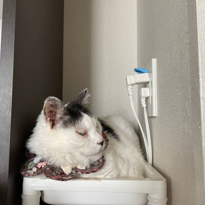 Bdeacee3 c56a 4d4d a376 5fc0cbf4018e 1685057546871