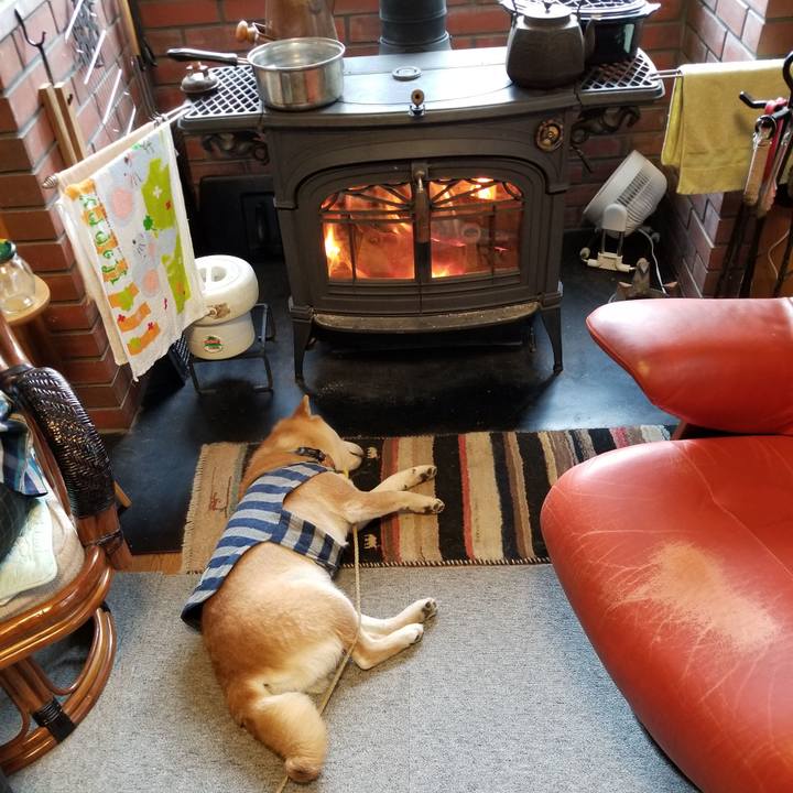 Bdeaf7b0 c0a9 4525 a39d ab5c27fa15aa 1581982858167