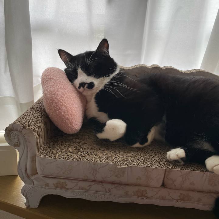 Bdeb2c00 a1be 40f6 9317 5063c53a9c04 1682122172299