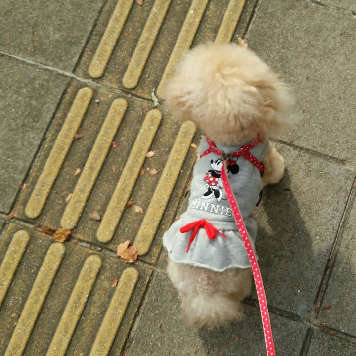 Bdeb5560 a69b 4773 b0a6 abc261db158e 1539603914491