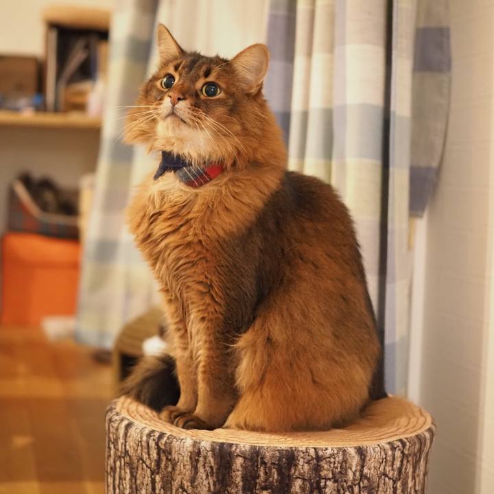 Bdeb7177 ff55 402d 8d43 713431e2be47 1679024217916