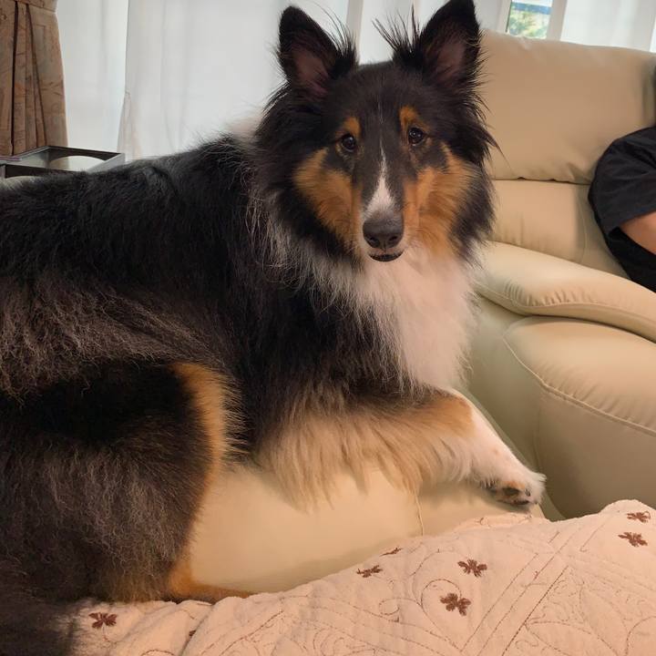 Bdeb87ce 01ac 40cc 932d 29e9175b5d47 1596846479802