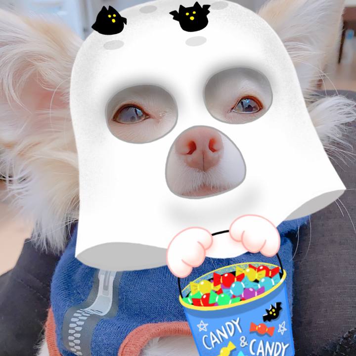 Bdeb92d7 4683 4f34 9ac8 6c261173668f 1604112288771