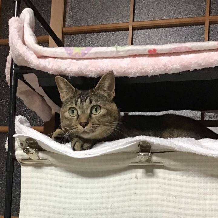 Bdebd2e1 a20f 4408 8874 76834f5773a8 1634029194986