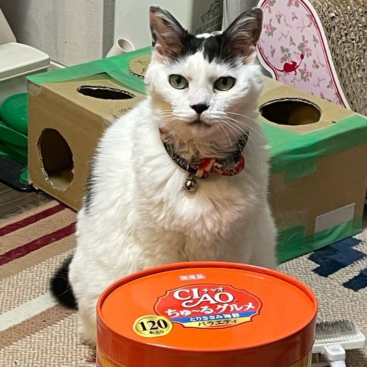 Bdebdacc a10b 4431 804e 73501b3c6f83 1718633728565