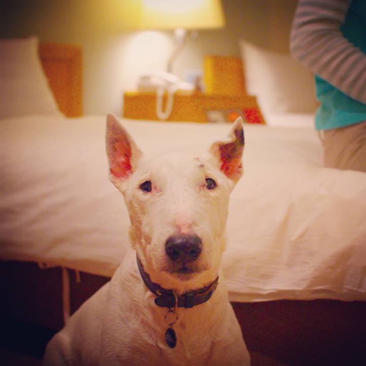 Bdebffc0 2feb 4cfb 8c27 a8b30ea1a546 1508221910307