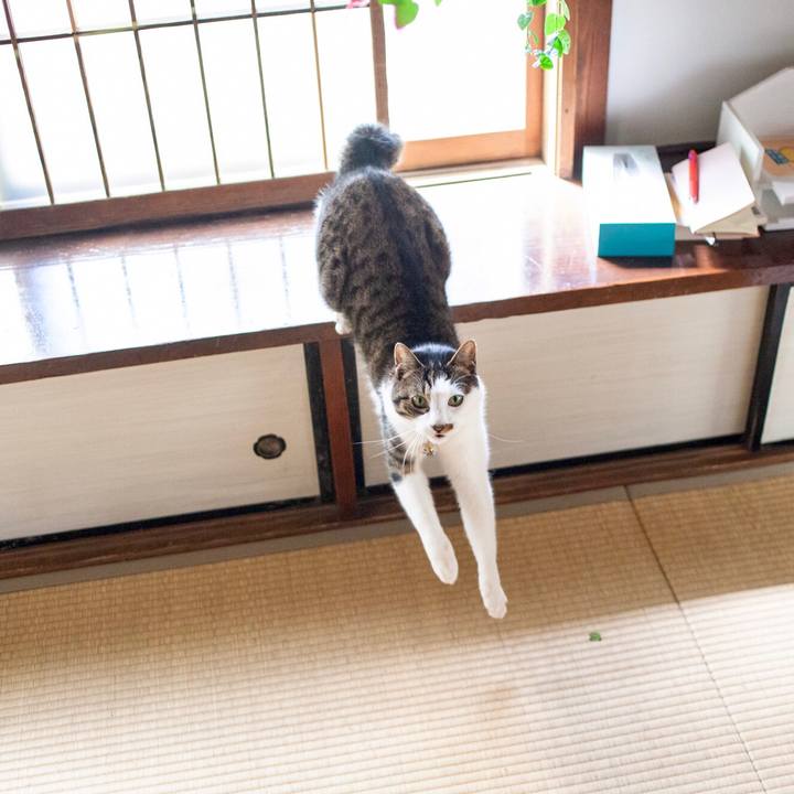 Bdec2713 140d 4feb aa74 57eecae3c048 1585788515212