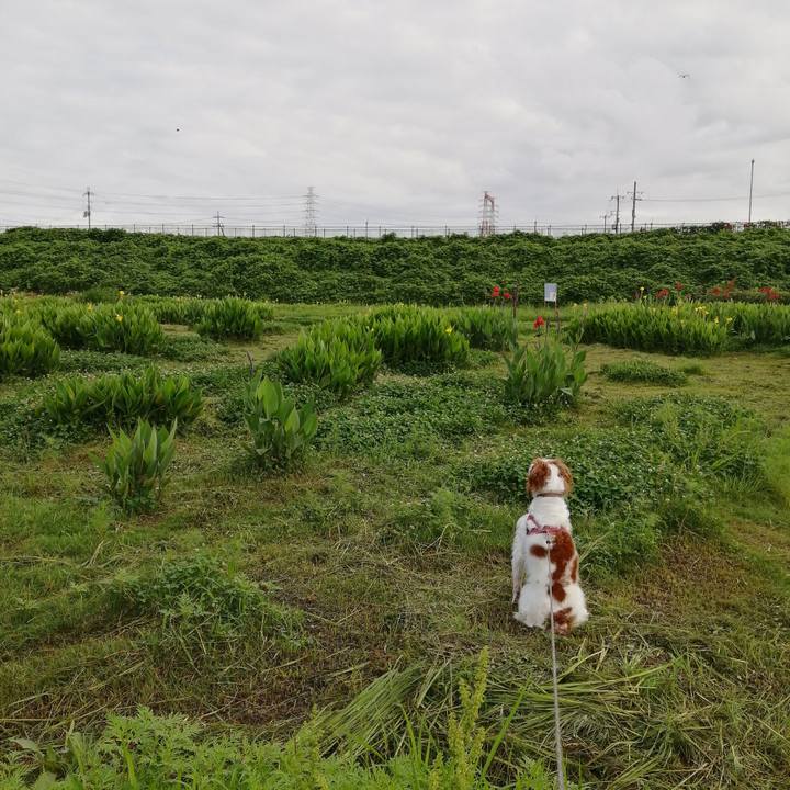 Bdec2da2 a0d6 49e9 93e6 6163d211acd8 1624929616299