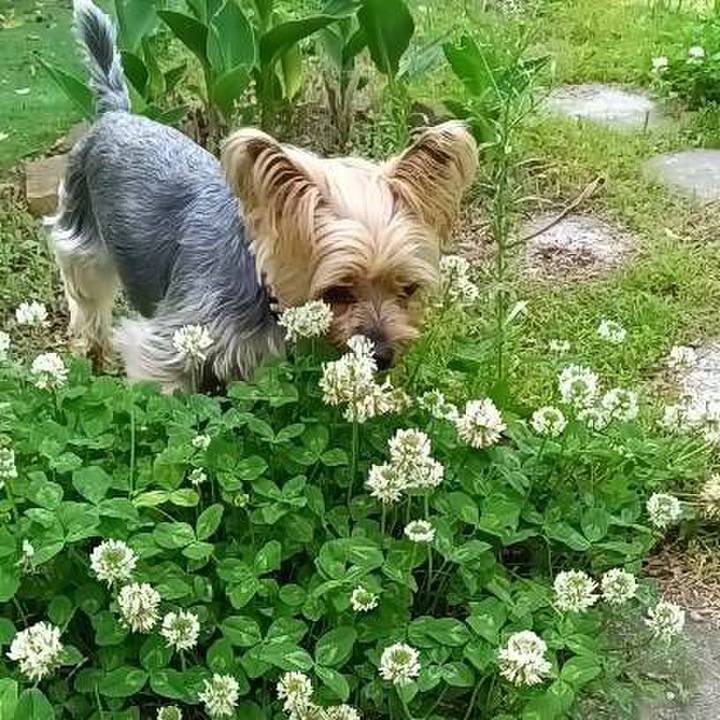 Bdec38fb ac85 4926 8fd5 0554b38b925f 1748844010169