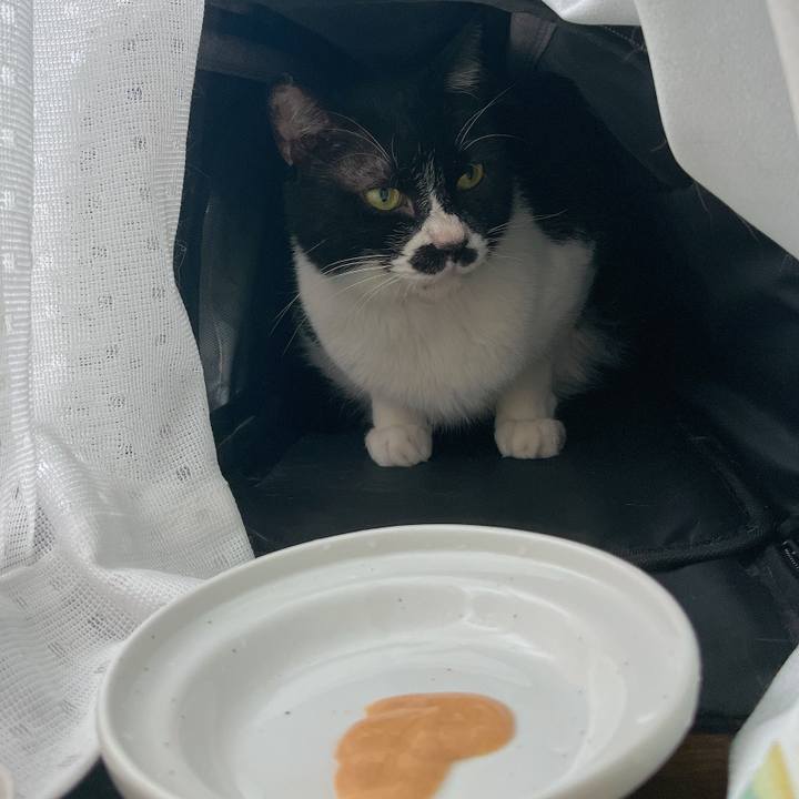 Bdec3b42 9ab5 4548 96f6 4056de7526ea 1685793580508