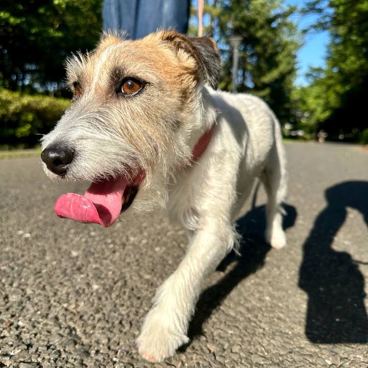 Bdec3e1a 34c5 4074 a457 e32b5284bb10 1687005196012