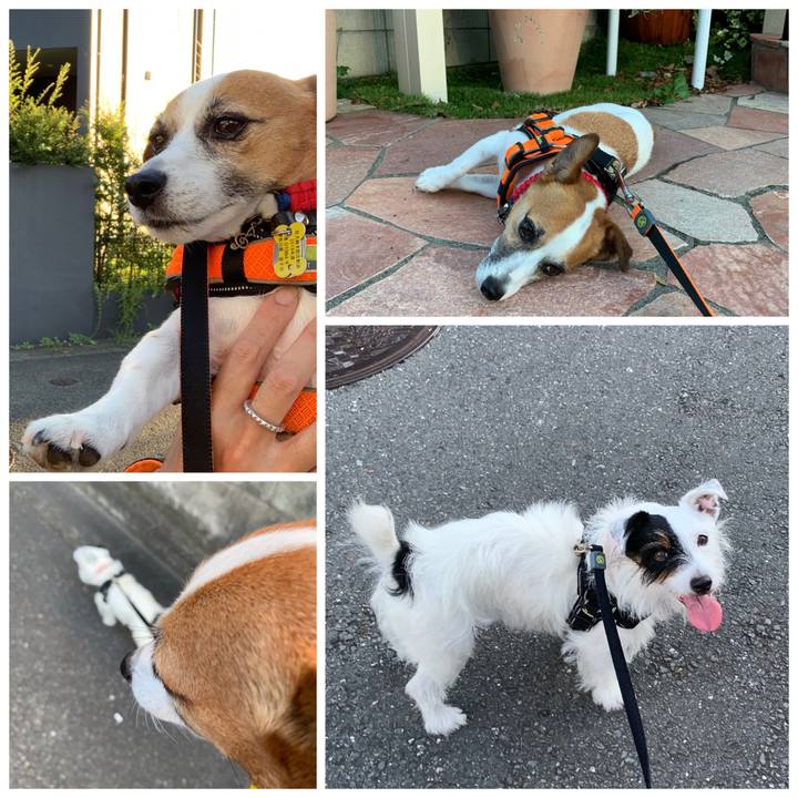 Bdec575b aba3 4a6e 8515 2a9b0a47715b 1567760046156