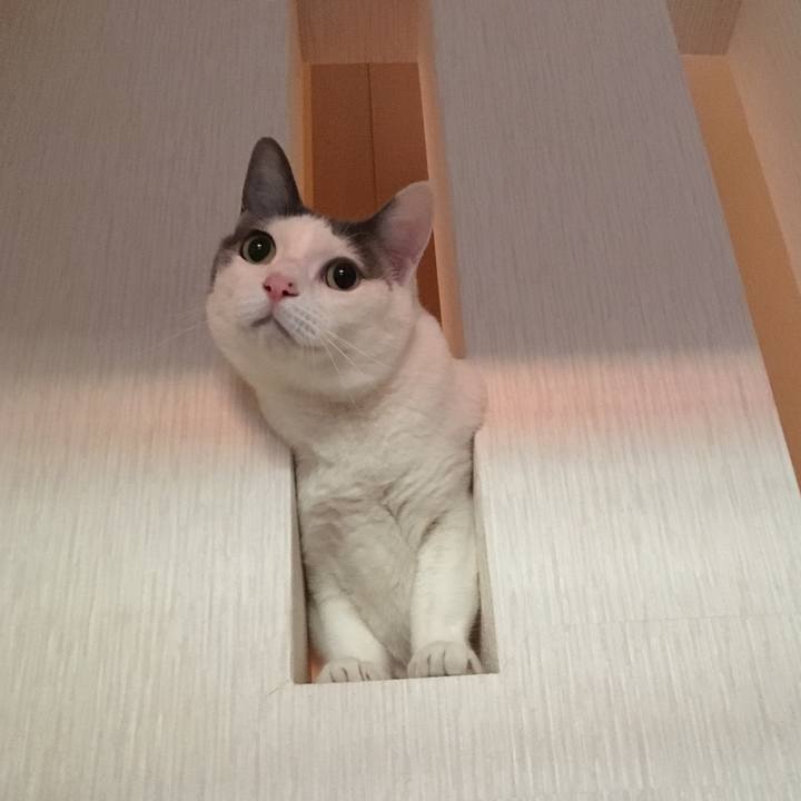 Bdec6c63 4f30 4c26 bd29 aecbe66c9cec 1522457589690