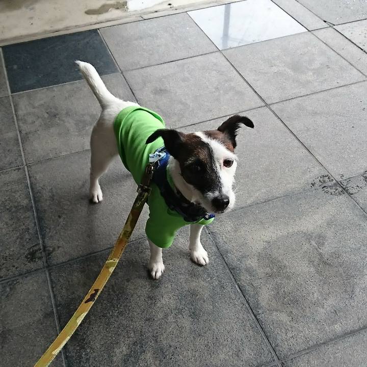 Bdec84f0 4956 46d5 bc30 e15263e1ccc2 1538284322373