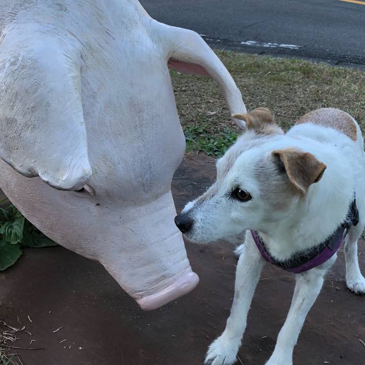 Bdece260 8129 4e7a 82dd 9483ebd38020 1618145071374