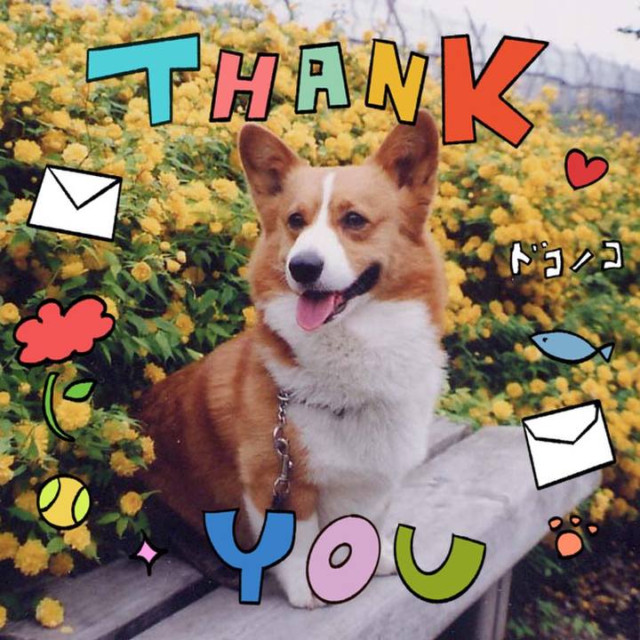 Bdeceb3e b722 46dc 9dae 7a1496388b1a 1714955416425