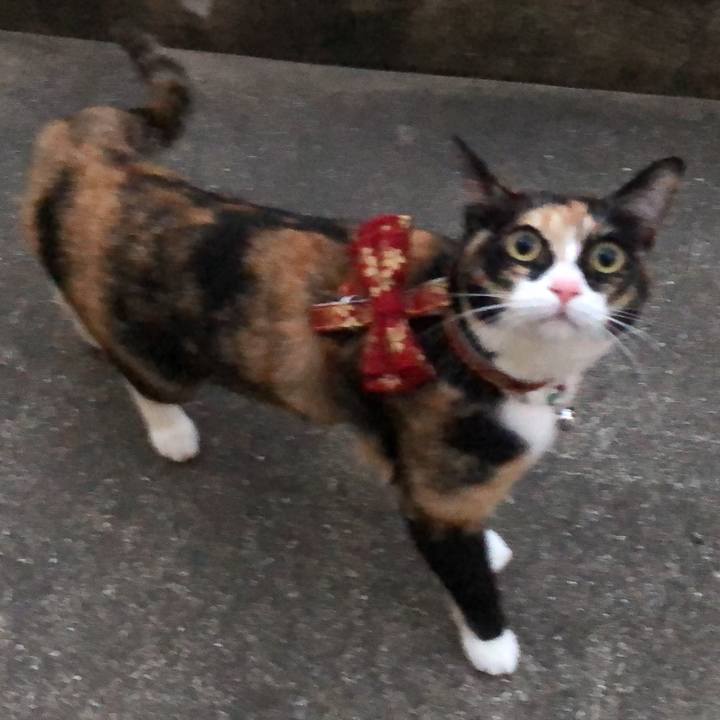 Bdecefec cff9 4bf1 96cc b6c5749c19cd 1588241987183