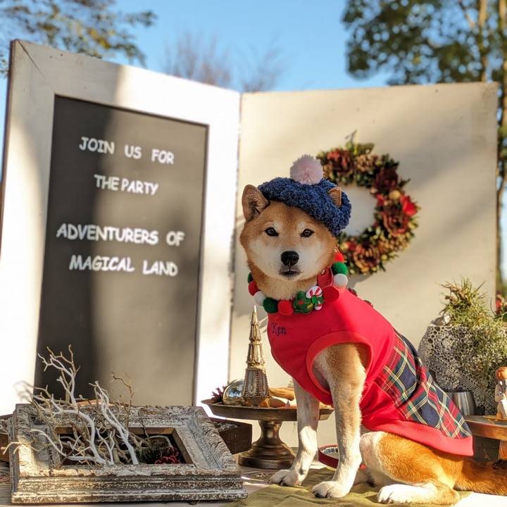 Bdecfece 12bb 4f40 893a b19606689a40 1702011379854