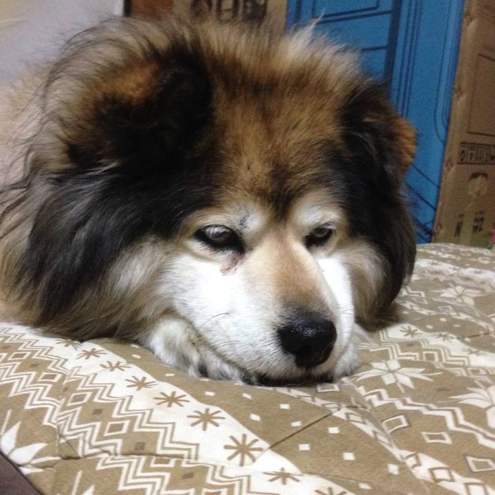 Bded1981 cc62 4731 bf9d 91a20c1b789a 1595243799255