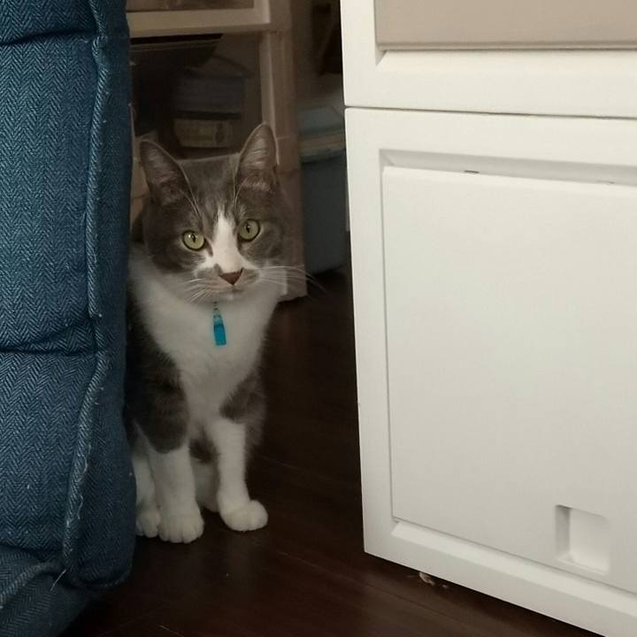 Bded3cee 111f 4982 ae6d cfeee6f39e35 1643507789117