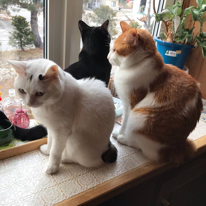 Bded42a0 57f6 4698 b5e5 1a2b7c9387bc 1575178631743