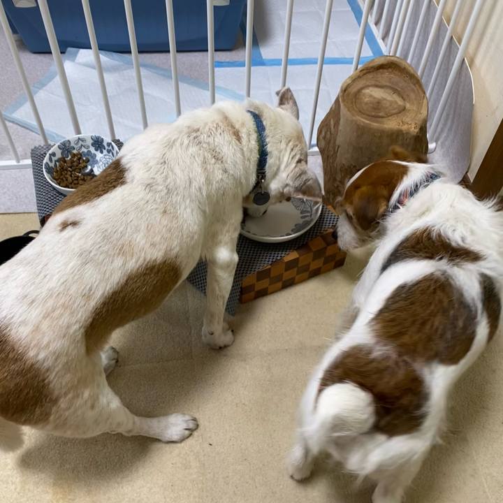 Bded5a1a 5b21 4e92 b2ba 3c0848bb1fb1 1711233876346