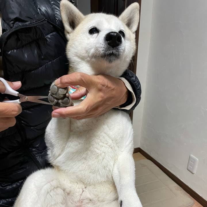 Bdedafb6 e527 4299 a19c 5d0eee342c8f 1636770590872