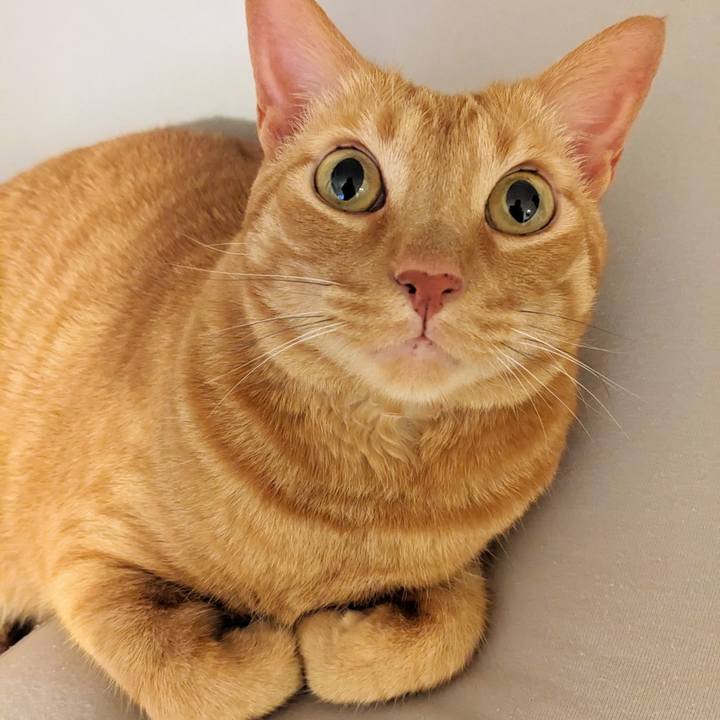 Bdedd581 f55c 40eb aa02 818e8a75efb0 1686445537409