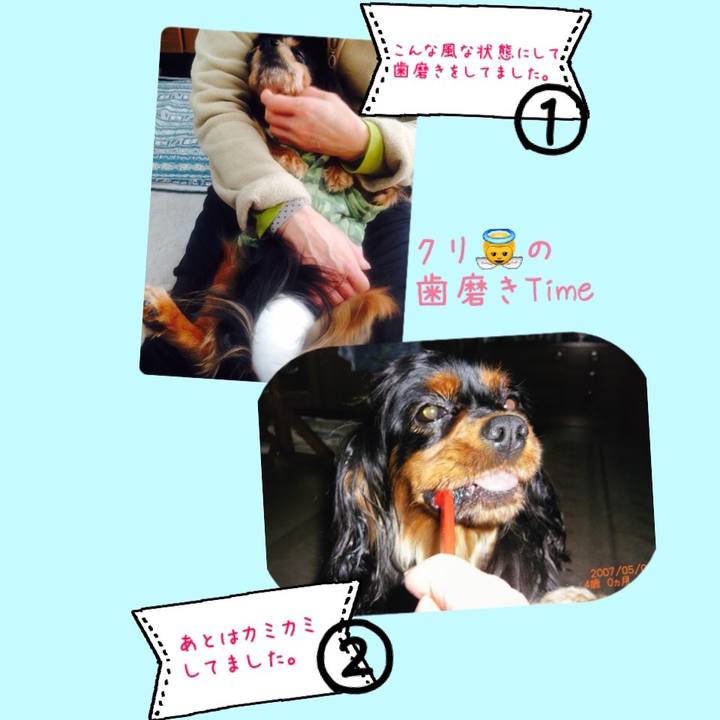 Bdede794 5637 4216 a8a7 06672362990e 1511516348363