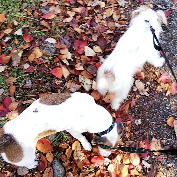 Bdee49cb c64a 4323 b895 eafa9f48703d 1574483638552