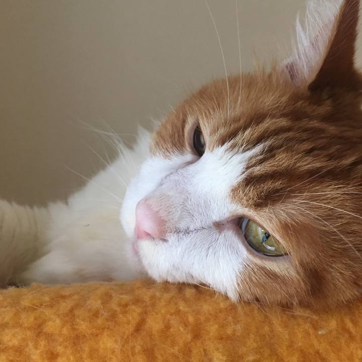 Bdee67c8 b079 40d4 8c1f d7c91dda376e 1571862245513