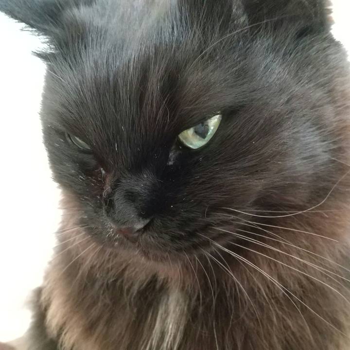 Bdee7814 3035 46ad 82d2 225e09ab0705 1581291816999