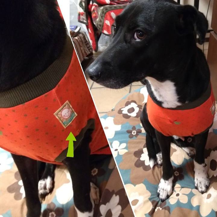 Bdee80e2 0364 4232 8fc9 1b913ef5497d 1608460109879