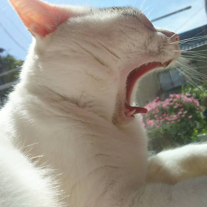 Bdee9173 4447 4270 9644 6903f8ce5ac5 1524471611037