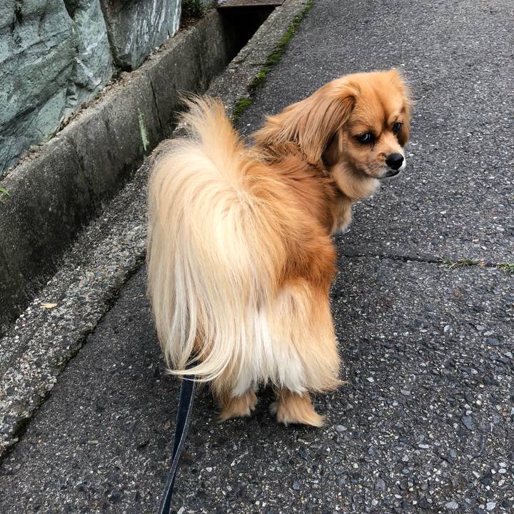 Bdeec9b8 db77 4a92 87f0 92e539938873 1528406671025