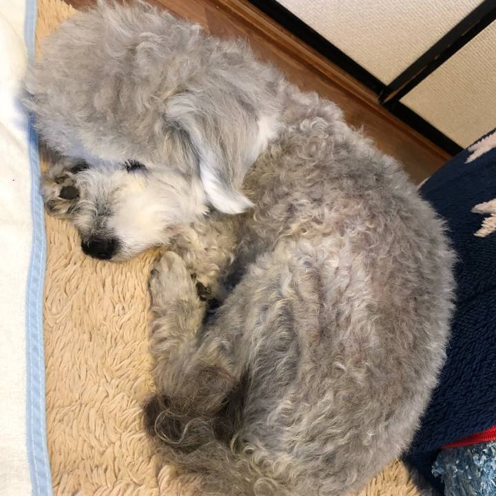 Bdeece6d 4fb7 4f96 ae8c a60c96884932 1623807657736