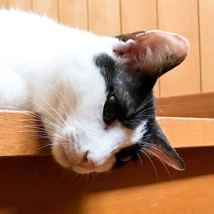 Bdeef4c8 4f98 47d8 a5a8 ea79e13937fd 1533046899874